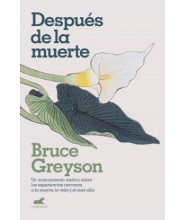 DESPUES DE LA MUERTE