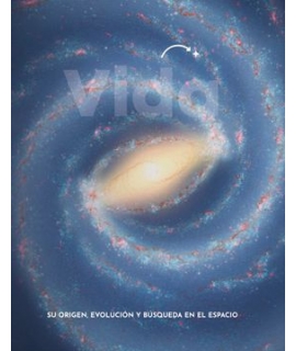 VIDA