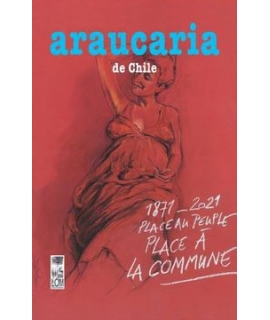 ARAUCARIA DE CHILE 50