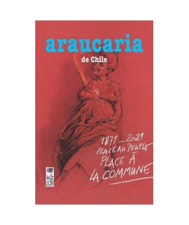 ARAUCARIA DE CHILE 50