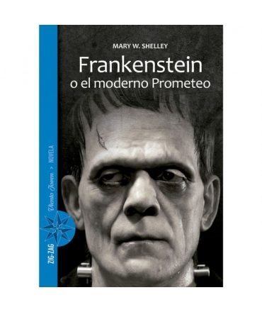 FRANKENSTEIN O EL MODERNO PROMETEO