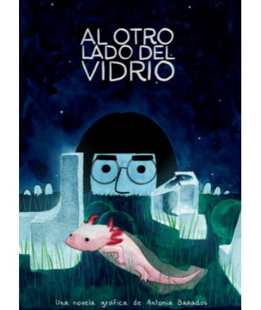 AL OTRO LADO DEL VIDRIO