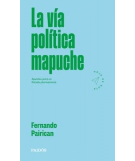 VIA POLITICA MAPUCHE, LA